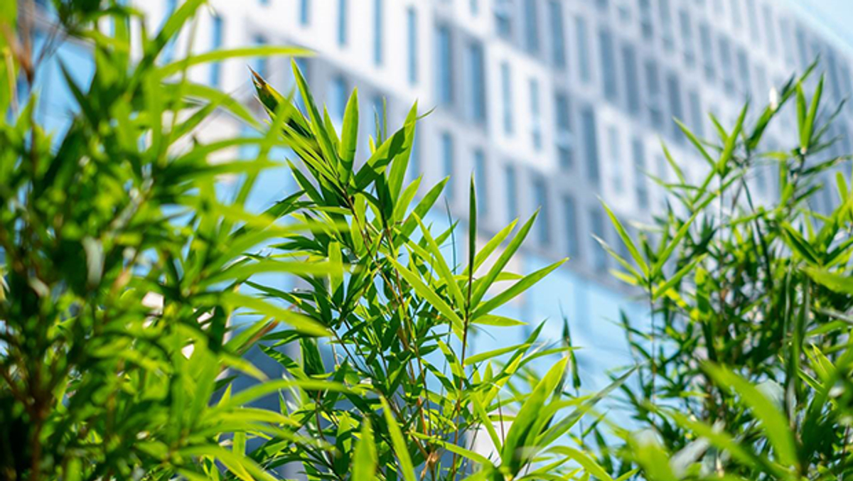 Halton&#8217;s Sustainability Report for 2018