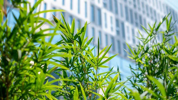 Halton&#8217;s Sustainability Report for 2018