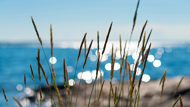 Midsummer Eve in Finland