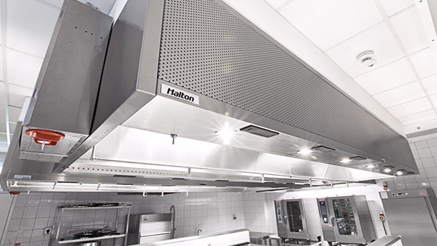 Marchewkowe Pole (Business Garden) 1