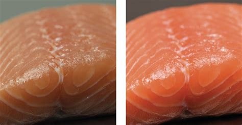 Halton Skyline Culinary and Human Centric LED Lighting technology