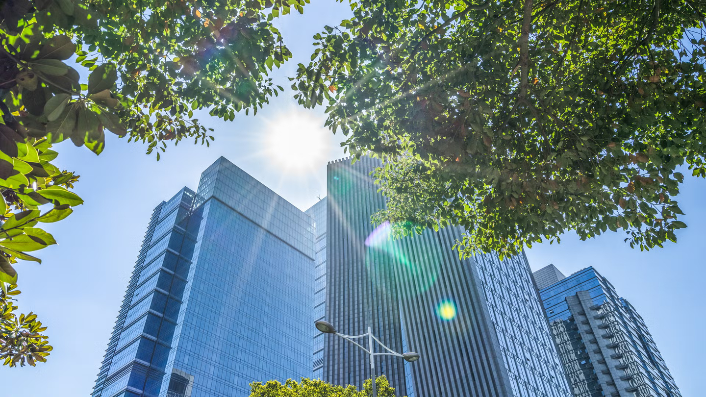 Haltonin kestävän kehityksen visio