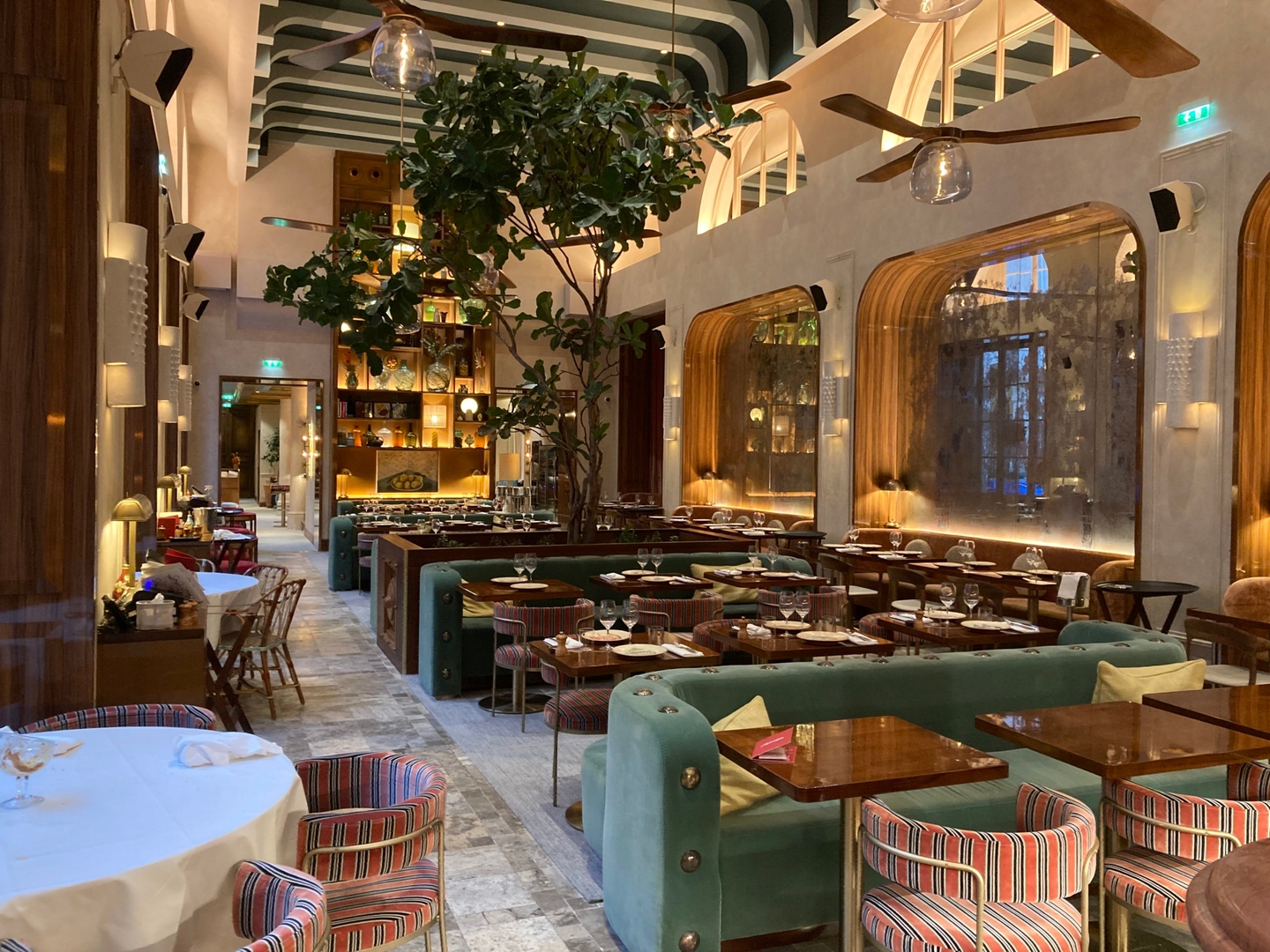 Mimosa | Hôtel de la Marine, France