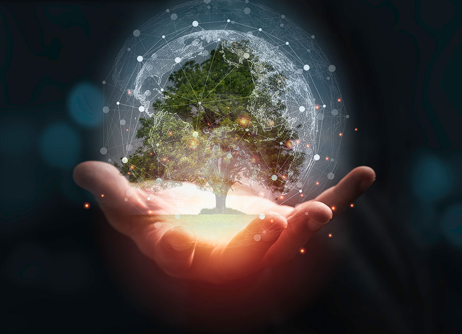 Haltonin nettovaikutusprofiili