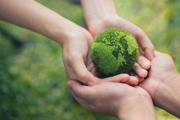 Open position: Chief Sustainability Officer