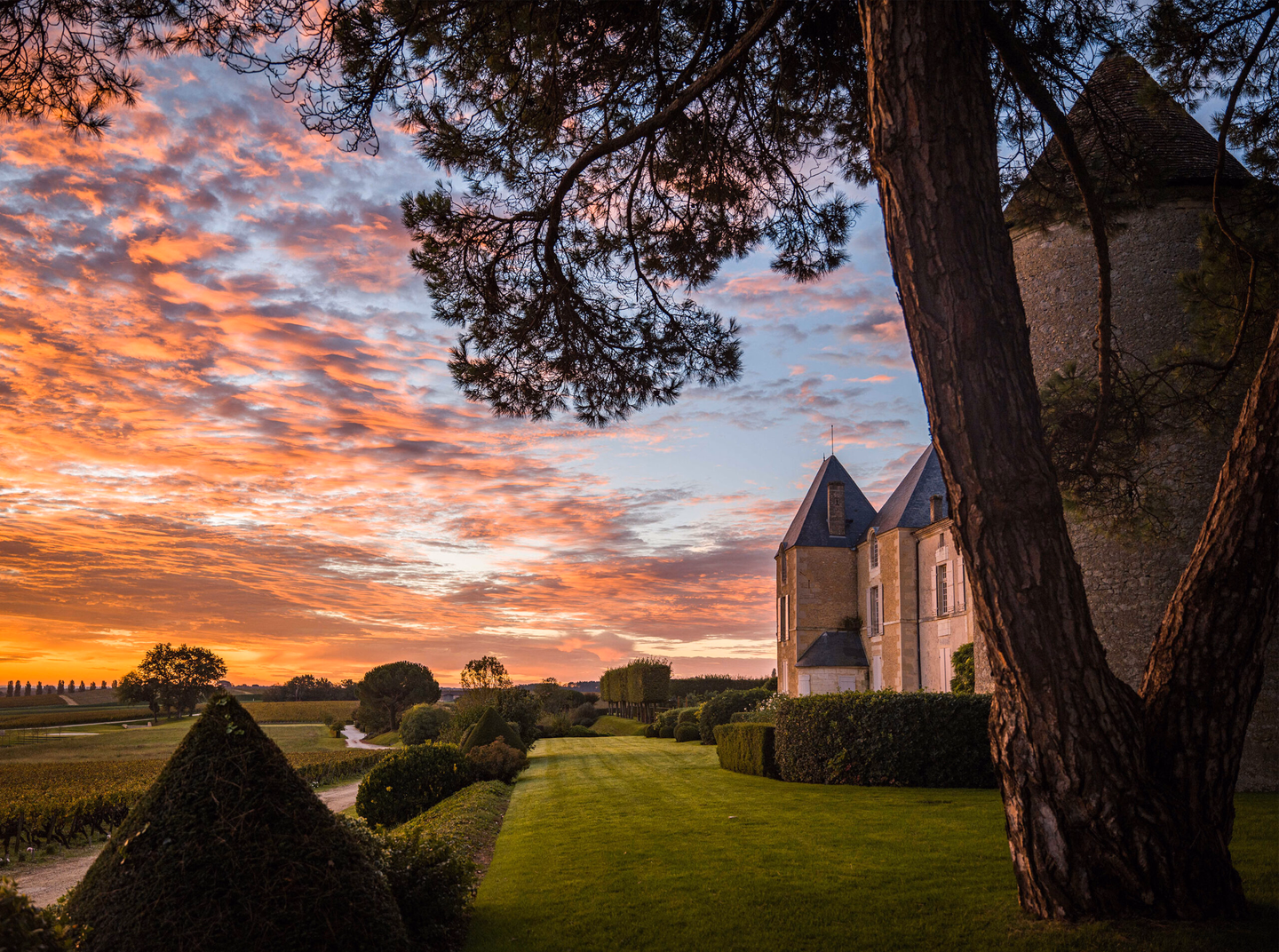 Château d’Yquem, France